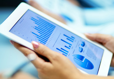 Services for Professionals and SMEs