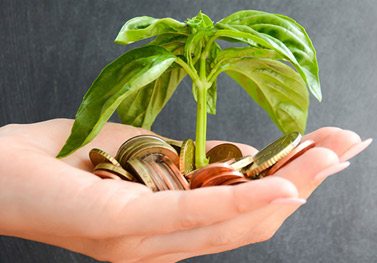  Hospitality Industry - Services for Pubs, Clubs & Restaurants 